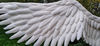 adult wings costume, white angel wings, angel wings, Christmas wings, anime cosplay wings, Aziraphale wings, Aion wings, Ikaros wings, Gabriel angel wings, fair