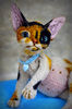 Devon Rex kitten.  Handmade toy. Art doll animal (10).JPG