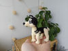 Miniature dog Realistic Husky. plush puppy toy 2.jpg