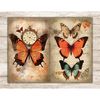 Watercolor digital pages for Junk Journal with vintage orange, beige, green and white butterflies on flowers background, vintage lettering paper. Butterflies on