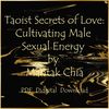 Taoist Secrets of Love Cultivating Male Sexual Energy-01.jpg