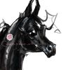 Black with star Arabian Horse ART commission cute sketch doodle custom original equine artist cartoon illustration pet portrait realistic drawing personalized p