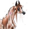 Fleabitten Grey Arabian Horse ART commission cute sketch doodle custom original equine artist cartoon illustration pet portrait realistic drawing personalized p