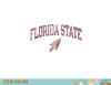 Florida State Seminoles Vintage Arrowhead White png, digital download copy.jpg