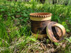 Birch bark box 9.jpg