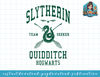 Harry Potter Slytherin Team Seeker Hogwarts Quidditch png, sublimate, digital download.jpg