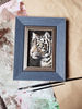 3 Small oil painting in a frame under glass - Tiger  5.9 - 3.9 in..jpg