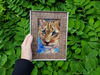 1 Small oil painting in a frame under glass - little lion 5.9 - 3.9 in (10-15cm)..jpg