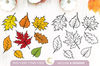 Realistic-Fall-Leaves-Bundle-Svg-Graphics-72052013-1-1-580x387.jpg