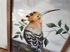 5 Watercolor artworkl painting in a frame -  bird Hoopoe  8.2 - 11.6 in ( 21-29,7cm )..jpg
