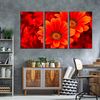 Abstract Flowers Canvas Wall Art, Red Flowers Close Up 3 Piece Multiple Canvas, Beautiful Floral Canvas Print