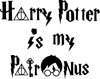 Harry Potter (93).png