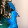 Feathered Artificial Peacock1.PNG