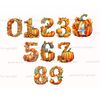 Watercolor pumpkin alphabet letters and numbers. Elegant font for halloween numbers 0, 1, 2, 3, 4, 5, 6, 7, 8, 9. Floral alphabet with autumn leaves, pumpkins a
