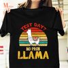 MR-1172023224233-test-day-no-prob-llama-teacher-exam-testing-vintage-t-shirt-image-1.jpg