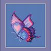 Dawn butterfly picture new .jpg