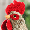 Large Cavalier Artificial Rooster1.PNG