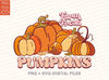 Pumpkin Patch SVG + PNG｜Farm Fresh Pumpkins Svg cut files｜Pumpkin Svg for fall shirts designs｜Retro Fall Png for Halloween mug Sublimation - 2.jpg