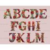 Watercolor burgundy alphabet letters. Elegant marsala font for wedding letters A, B, C, D, E, F, G, H, I, J, K, L, M. Floral alphabet with bright burgundy, pink