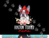 Funny Boston Terrier Mom Dog Lovers Mothers Day Gifts  png, sublimation copy.jpg