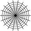 spiderweb-30.jpg