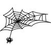 spiderweb-51.jpg