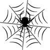 spiderweb-55.jpg