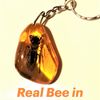 Real insect Bee in Amber Epoxy Resin Keychain Insect taxidermy keyring honeybee Nature Key chain ring Gift to friends.jpg