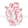 RED HEART [site].jpg