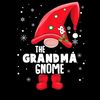 Grandma Gnome Matching Christmas Pajama Gift T-Shirt.jpg