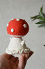forest mushroom.jpg