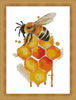 Bee With Honeycomb2.jpg
