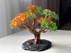 Orange-bonsai.jpeg
