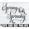 MR-1982023223415-spring-has-sprung-spring-svg-spring-decor-svg-cute-spring-image-1.jpg