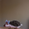 Earedhedgehog.jpg