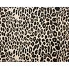 MR-2682023221138-leopard-png-seamless-leopard-png-png-spotted-pattern-image-1.jpg