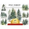 MR-2782023151352-set-of-16-watercolor-forest-tree-clipart-pine-tree-png-image-1.jpg