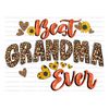 MR-288202391813-best-grandma-ever-pngbest-mom-ever-mothers-day-png-image-1.jpg