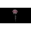 MR-308202317244-embroidery-file-rose-love-plant-blossom-flowering-rose-stem-image-1.jpg