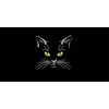 MR-308202319333-embroidery-file-catface-2-cat-face-13x18-frame-machine-image-1.jpg