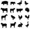 Farm Animals Bundle Svg, Farm Animals Svg, Farm Animals Clipart, Farm Animals Cricut Svg, Instant Download.jpg