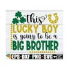 MR-129202383245-this-lucky-boy-is-going-to-be-a-big-brotherlucky-big-image-1.jpg