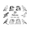 MR-1392023143810-falcon-svg-bundle-falcon-svg-cut-files-for-cricut-and-image-1.jpg