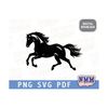 MR-1592023132828-horse-svg-file-for-cricut-for-silhouette-cut-files-png-image-1.jpg