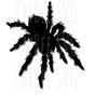 MR-16920239936-silhouette-of-a-tarantula-spider.jpg