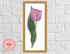 Pink Tulip4.jpg