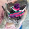 Cat-hat-crochet-pattern-PDF-Crochet-pattern-for-beginners-Digital-amigurumi-cat-hat-12.jpg