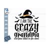 MR-2592023143518-i-am-the-crazy-grandma-everyone-talked-to-you-about-svg-image-1.jpg