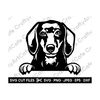 MR-2592023194724-dachshund-peeking-svg-dachshund-silhouette-svg-dachshund-png-image-1.jpg