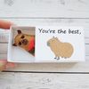capybara-hug-in-a-box